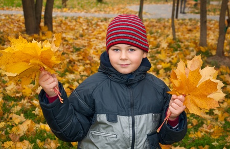 The Boy in the autumn park with a bunch of maple leavesの写真素材