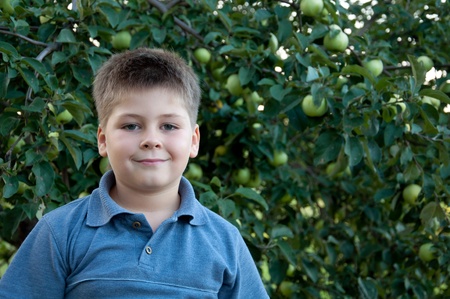 Portrait of a boy on a background of green apples with applesの写真素材