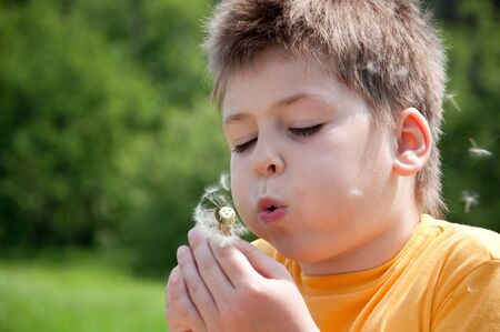 A boy blowing on a dandelion, a portrait of a summer dayの写真素材
