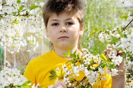 The boy in the garden in springの写真素材