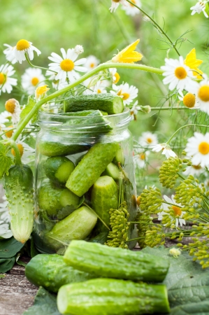 Canning cucumbers at homeの写真素材