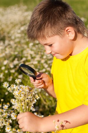 Boy sees flowers through magnifying glassの写真素材