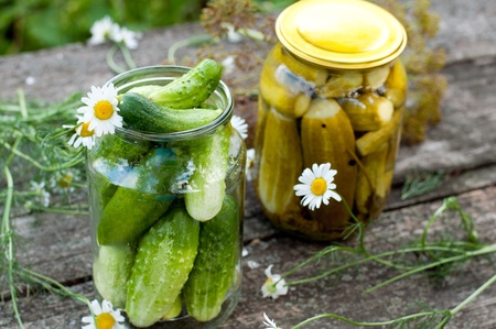 Canning cucumbers at homeの写真素材