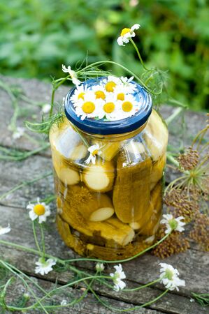 Canning cucumbers at homeの写真素材