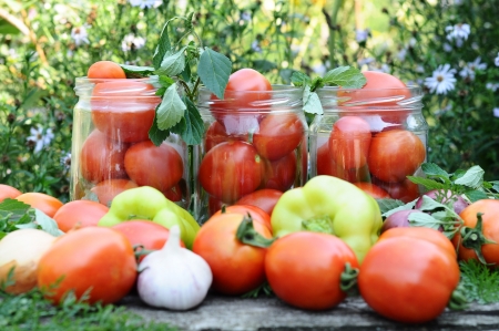 Canning tomatoes at homeの写真素材
