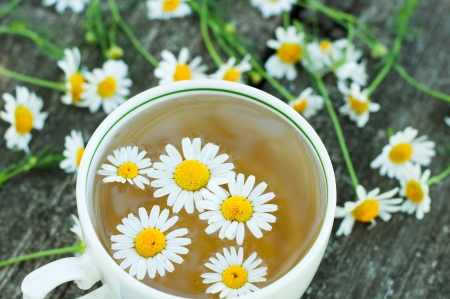Herbal tea of chamomile flowersの写真素材