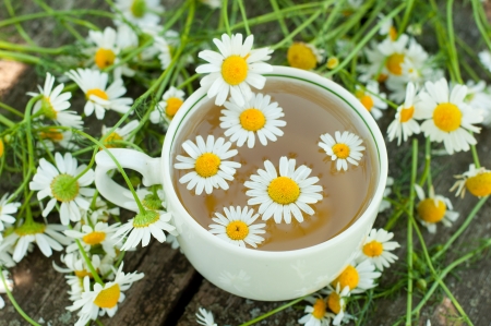 Herbal tea of chamomile flowersの写真素材