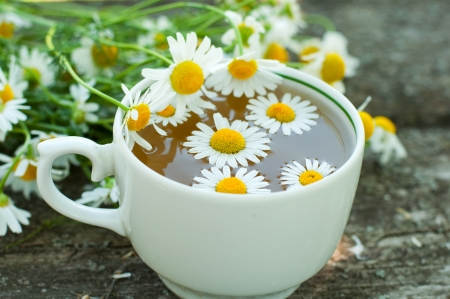 Herbal tea of chamomile flowersの写真素材
