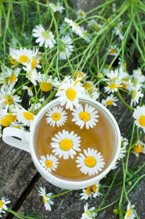 Herbal tea of chamomile flowersの写真素材