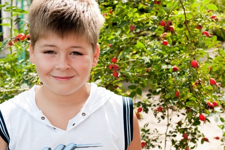 A boy of about rosehip with ripe fruitsの写真素材