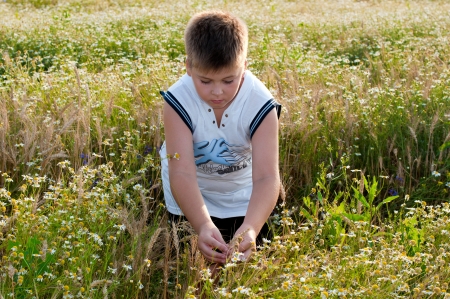 Boy on meadow with daisiesの写真素材