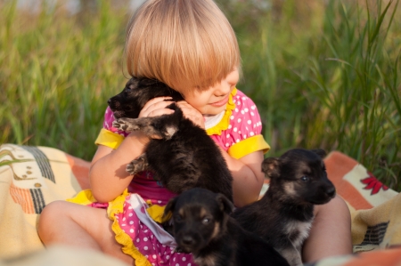 Little girl playing with puppiesの写真素材