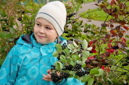 A boy with a sprig of Aroniaの写真素材