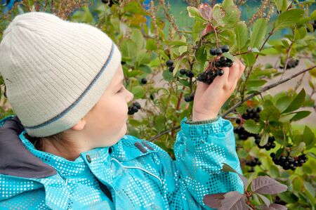 A boy with a sprig of Aroniaの写真素材