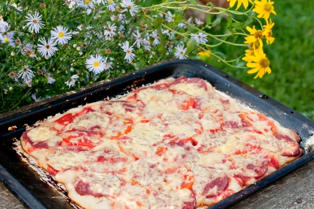 Home-made pizza on a bakingの写真素材