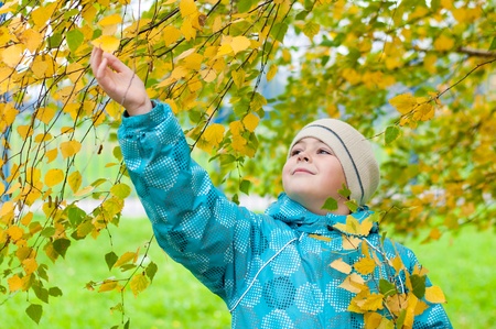 A boy in a birch forest in autumnの写真素材