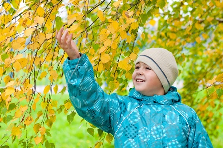 A boy in a birch forest in autumnの写真素材