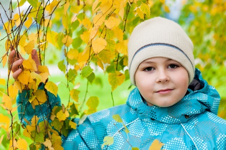 A boy in a birch forest in autumnの写真素材