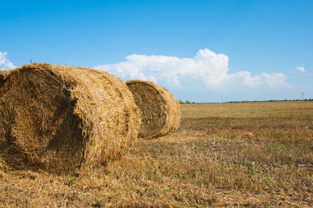 Mown field with bales of strawの写真素材