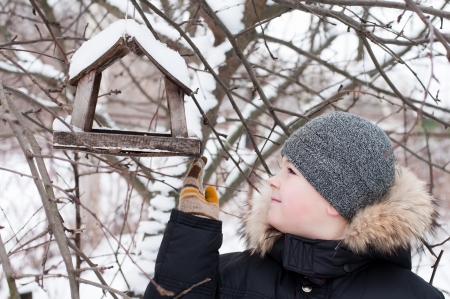 The boy feeds the birds in the feeder in winterの写真素材