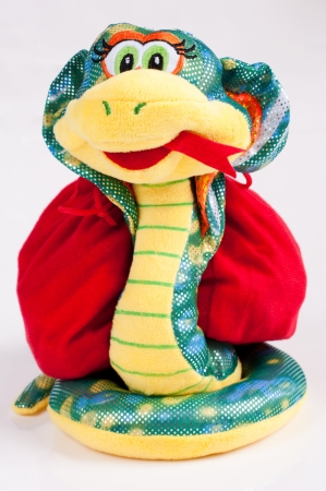 Snake - a symbol of 2013の写真素材