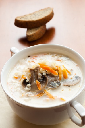 Mushroom soup with creamの写真素材