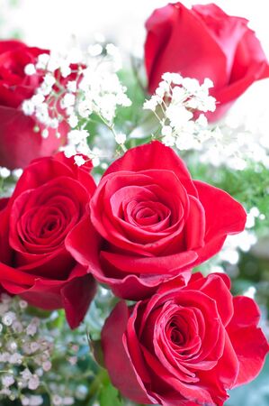 Bouquet of flowers with roses and gypsophilasの写真素材
