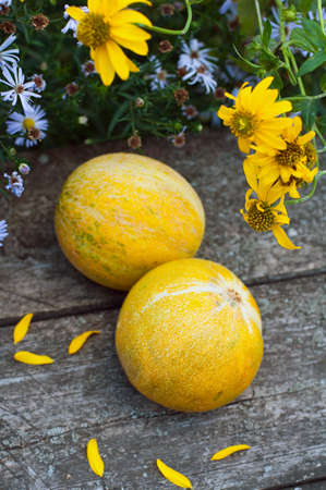 Ripe melon on the tableの写真素材
