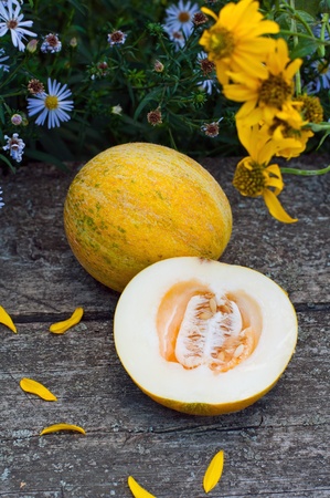 Ripe melon on the tableの写真素材