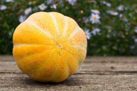 Ripe melon on the tableの写真素材