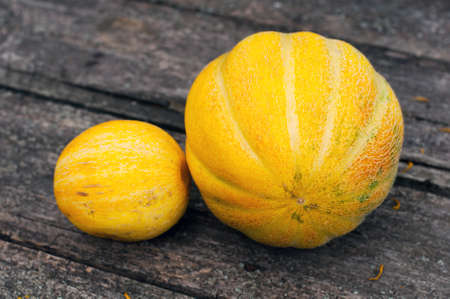 Ripe melon on the tableの写真素材
