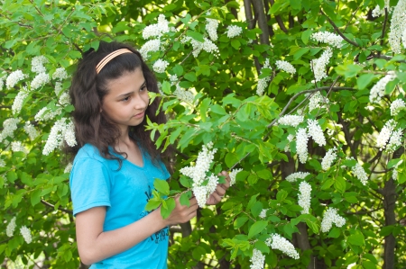 Girl with cherry blossoms treeの写真素材