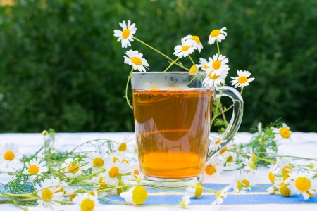 Herbal chamomile tea in a glass cupの写真素材