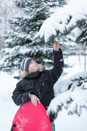 Boy in a snowy forest with a sledgeの写真素材