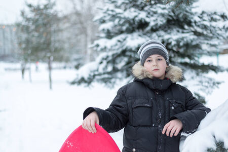 Boy in a snowy forest with a sledgeの写真素材