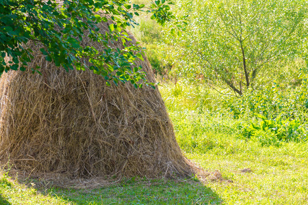 Rural landscape with haystackの写真素材