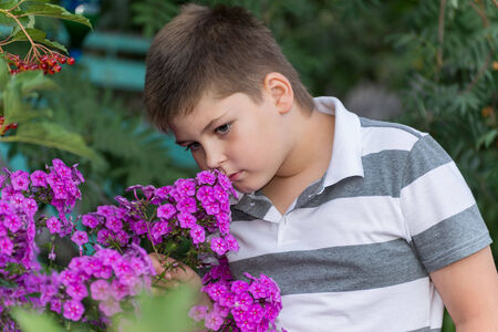 Teen boy about flowers in the gardenの写真素材