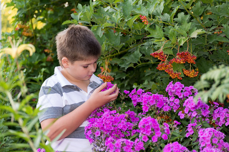 Teen boy about flowers in the gardenの写真素材