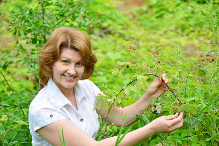Woman reaps a crop of a blackberries in the gardenの写真素材