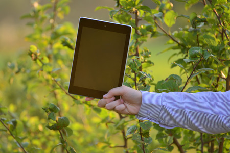 Tablet computer in the children's hand on natureの写真素材