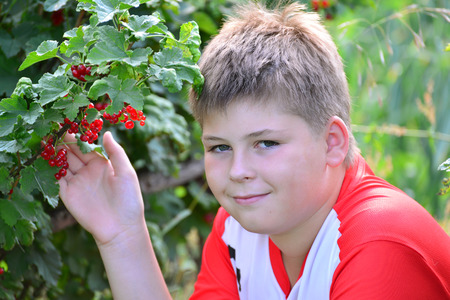 Teenage boy sitting near a red currant in the gardenの写真素材