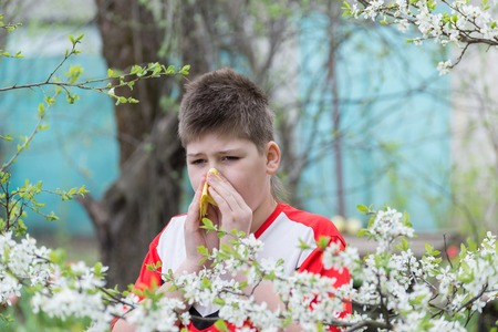 teenage Boy with allergic rhinitis in  spring gardenの写真素材