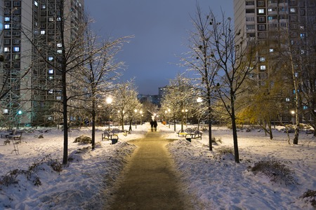Winter park at night in a Moscow, Russiaの写真素材