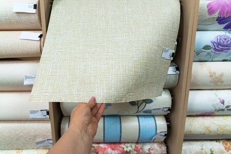 female hand holding a beige wallpaper in storeの写真素材