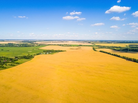 Aerial view of cereals in central Russiaの写真素材