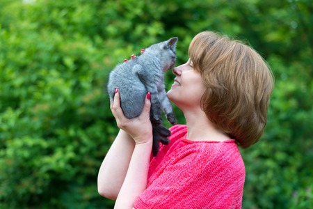 A woman is holding a thoroughbred kitten. Scottish Straight