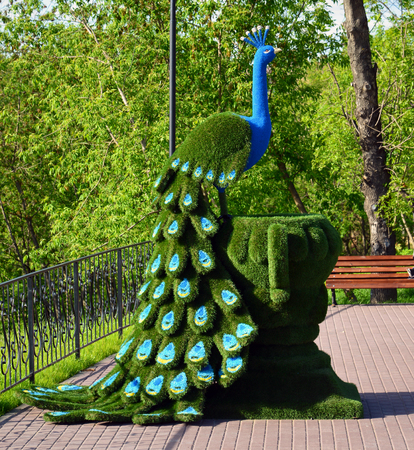 Khimki, Russia - May 30.2017. sculpture of peafowl in park Eco shoreのeditorial素材