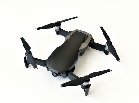Black quadrupter on light background