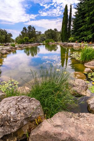 Fragment of beautiful garden with an artificial pond in summerの写真素材