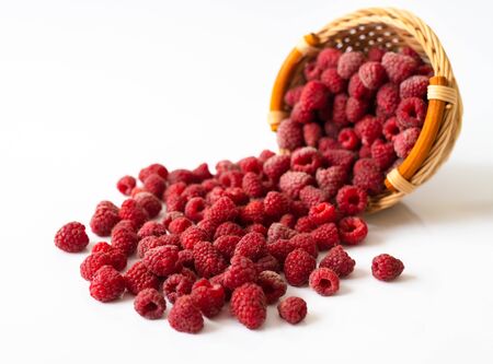Ripe raspberries in sprinkled on white background